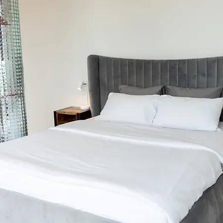 Thome Vlaicu170 Jacuzzi Lejlighed *