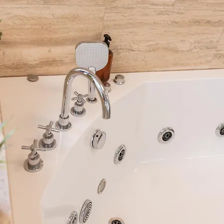 Thome Vlaicu170 Jacuzzi * 클루지나포카
