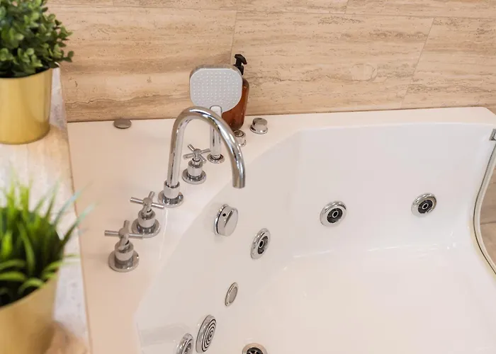 Thome Vlaicu170 Jacuzzi * Cluj-Napoca